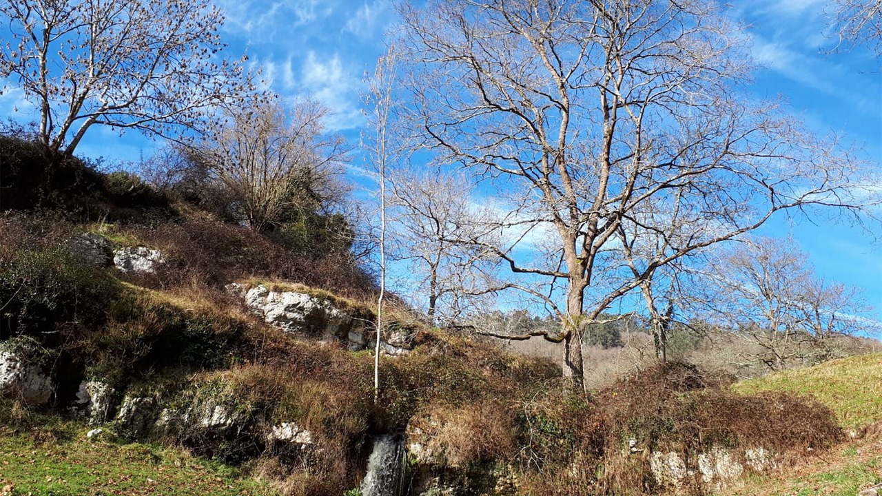 Photo of Outdoor in Vallobal