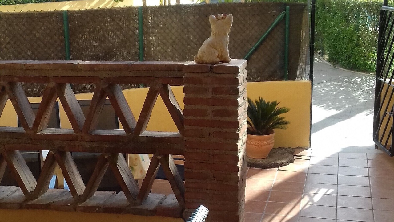 Photo of Patio Balcony in Puerto Rey
