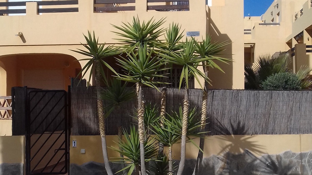 Photo of Outdoor in Puerto Rey