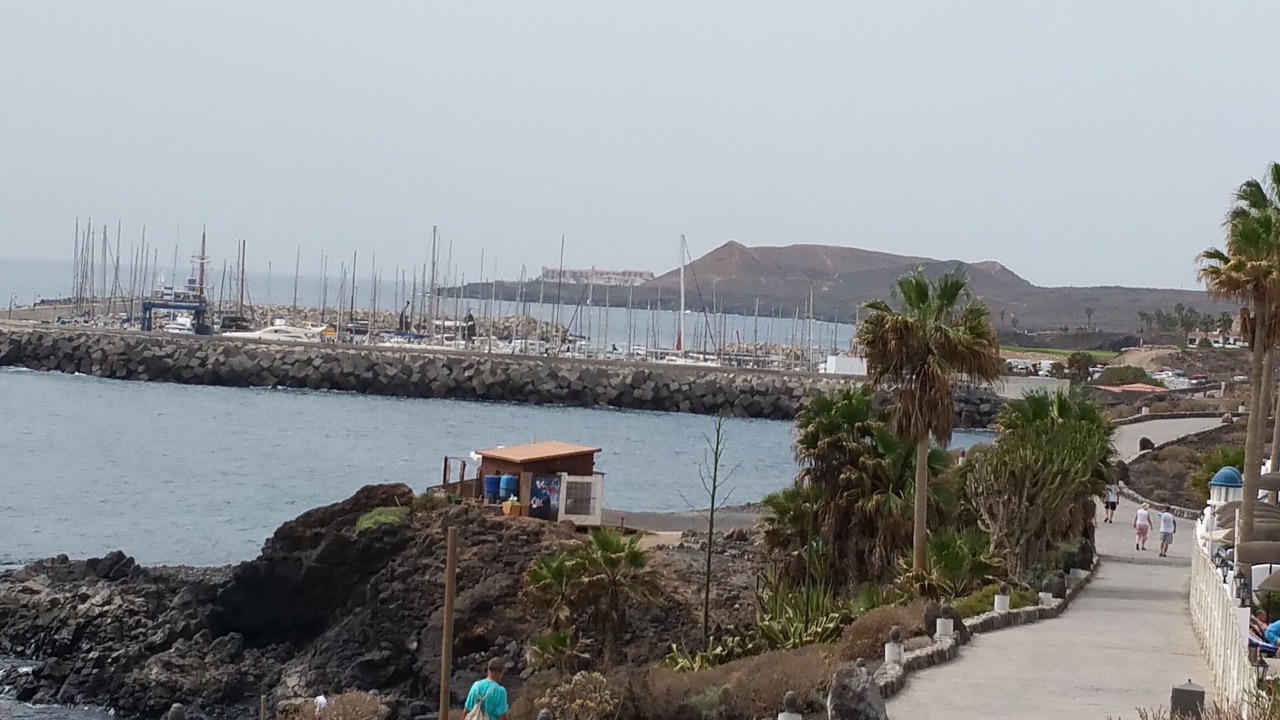 Photo of Others in San Miguel de Abona