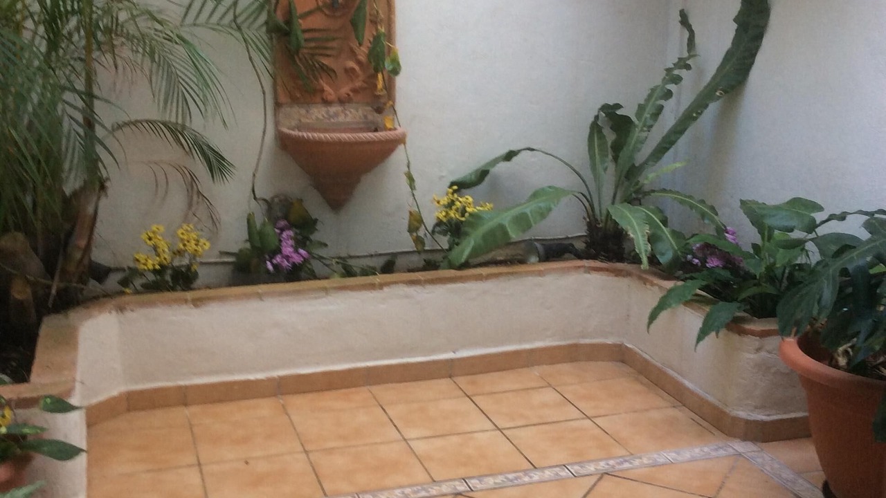 Photo of Outdoor in Torrequebrada