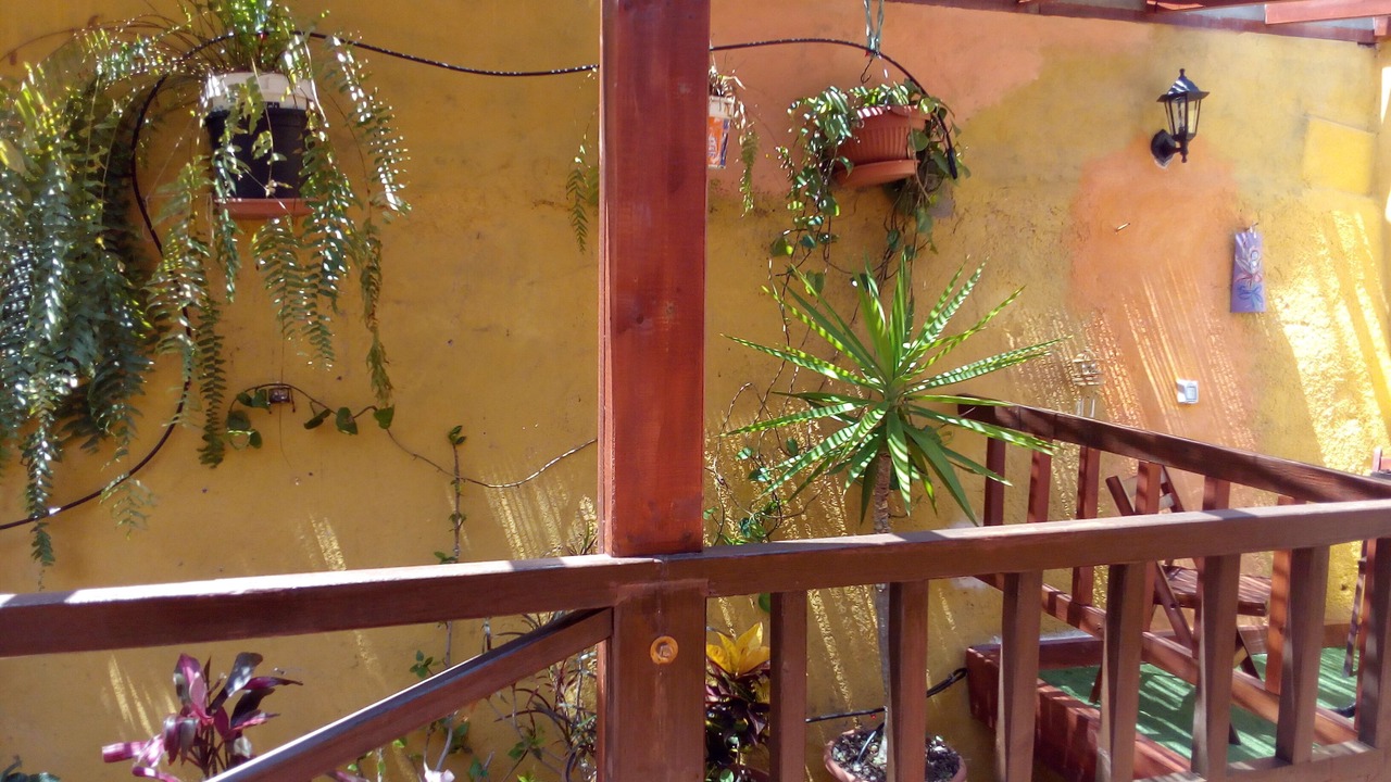Photo of Outdoor in Vallehermoso