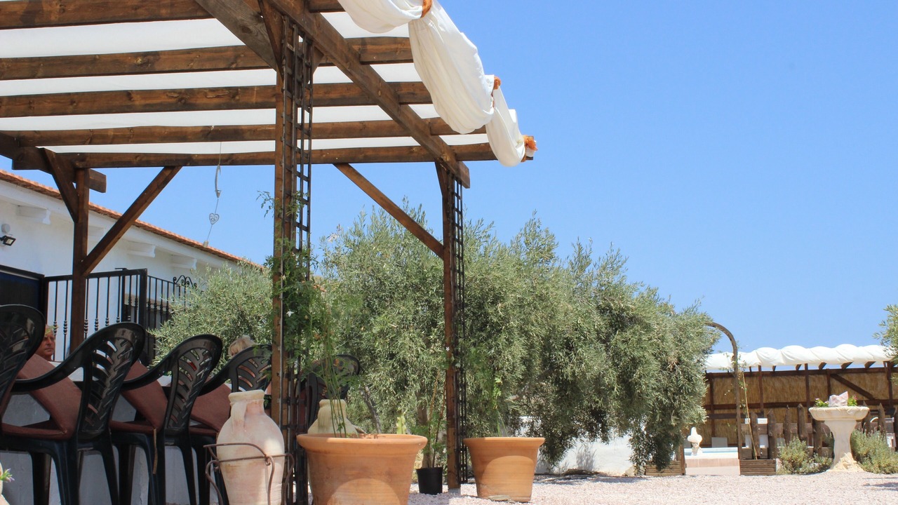 Photo of Others in Lorca