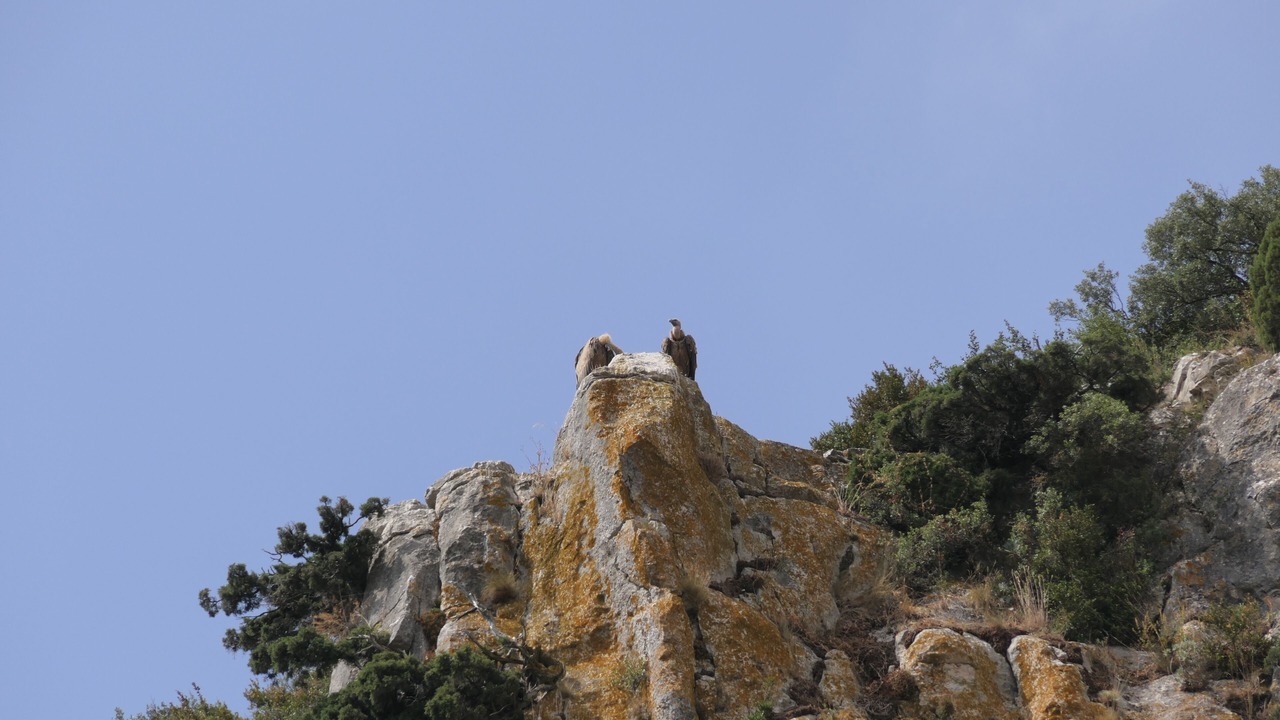 Photo of Outdoor in Lumbier