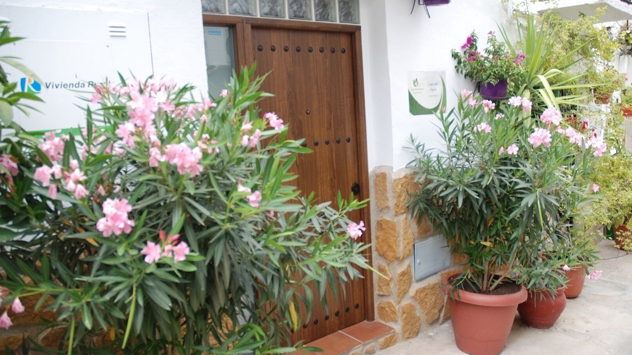 Photo of Outdoor in Quesada