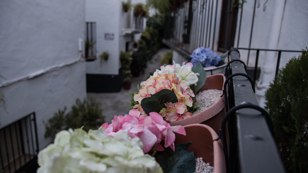 Photo of Outdoor in Quesada