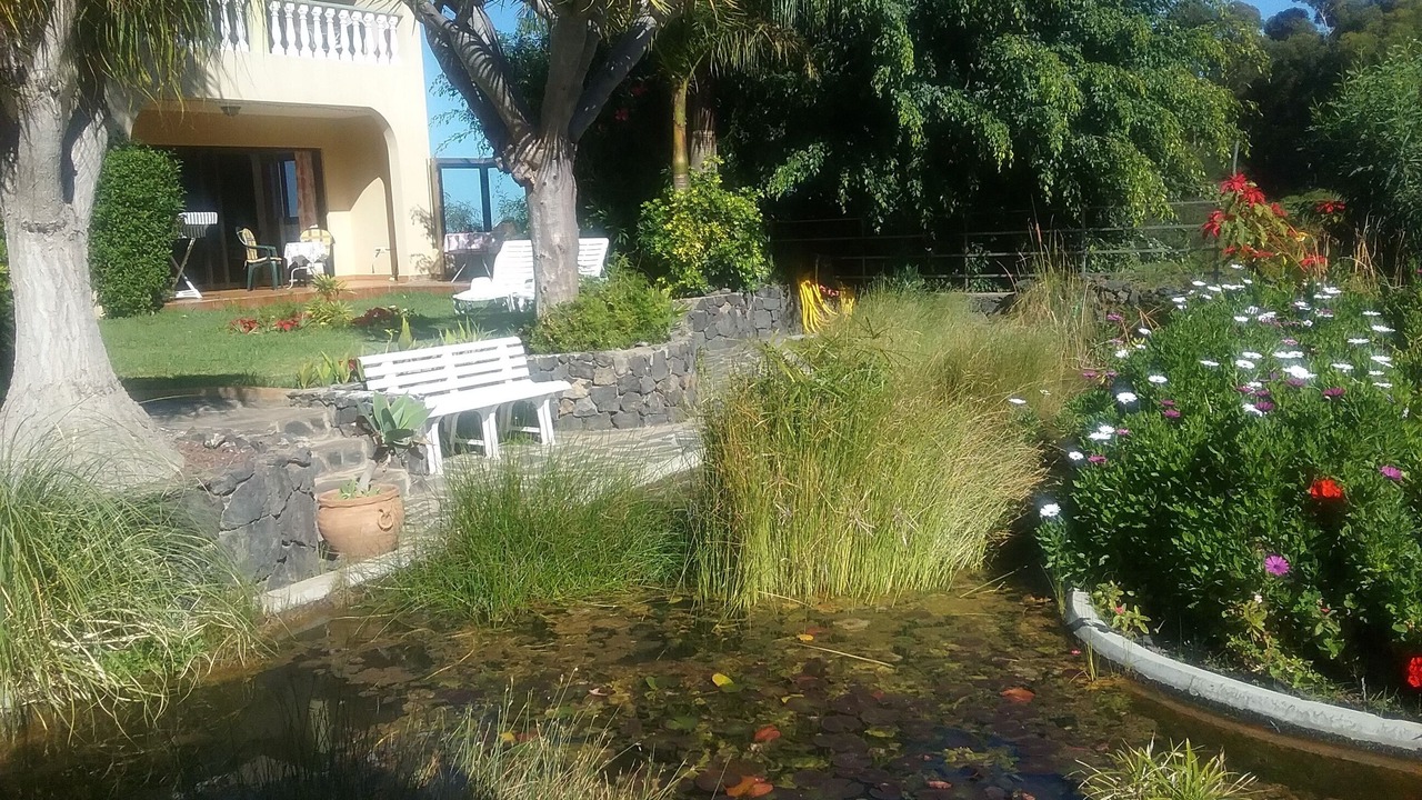 Photo of Outdoor in Puerto de la Cruz