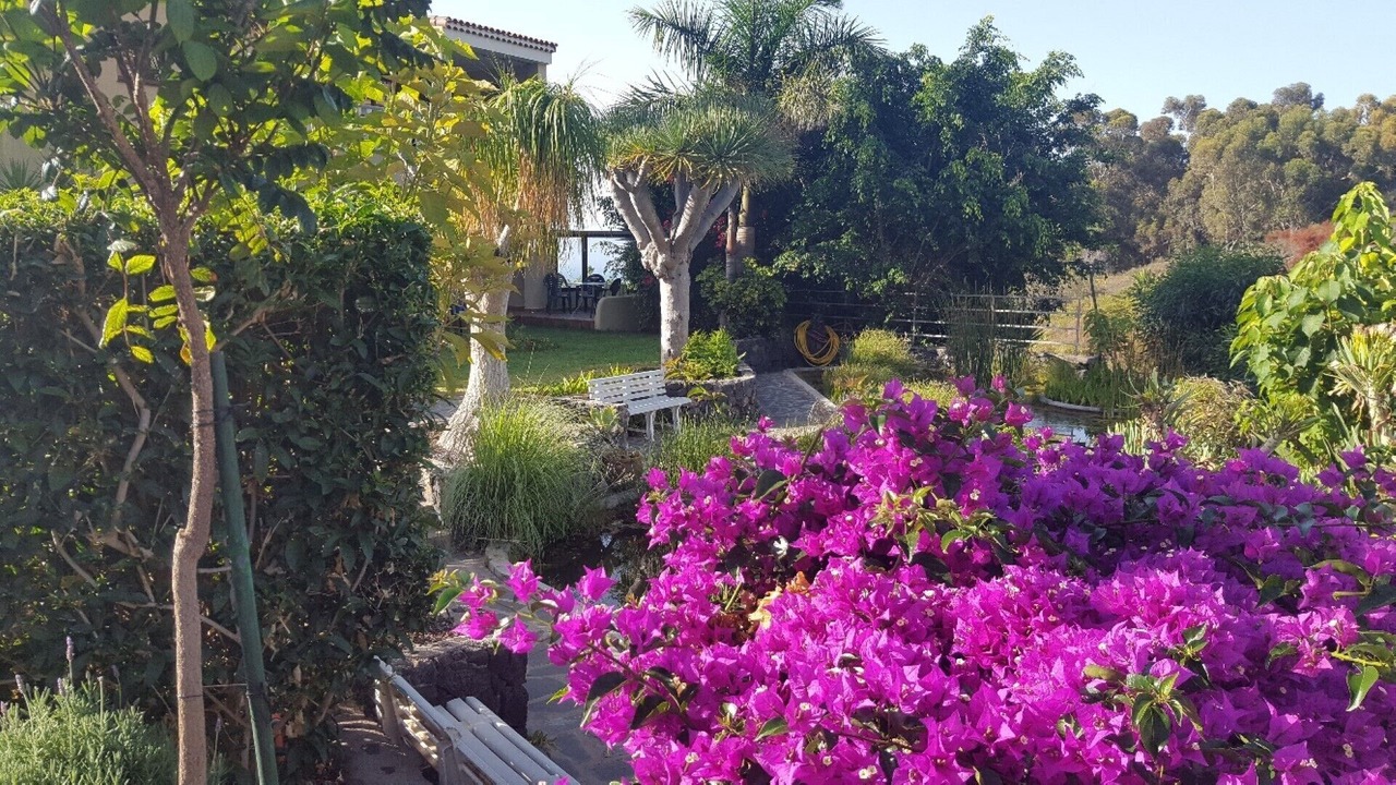 Photo of Outdoor in Puerto de la Cruz