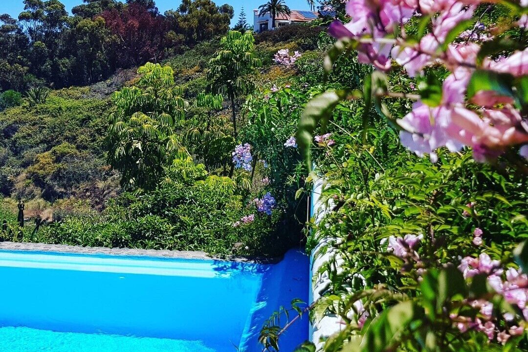 Photo of Outdoor in Puerto de la Cruz