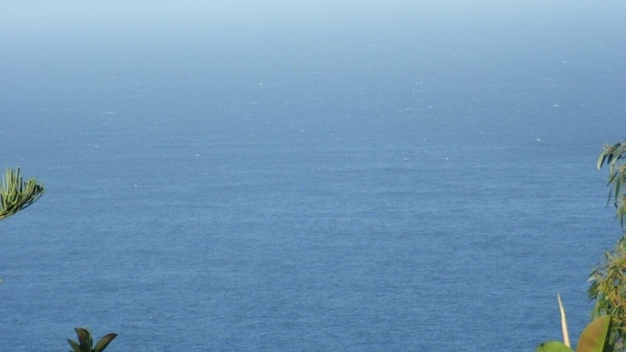 Photo of Others in Puerto de la Cruz