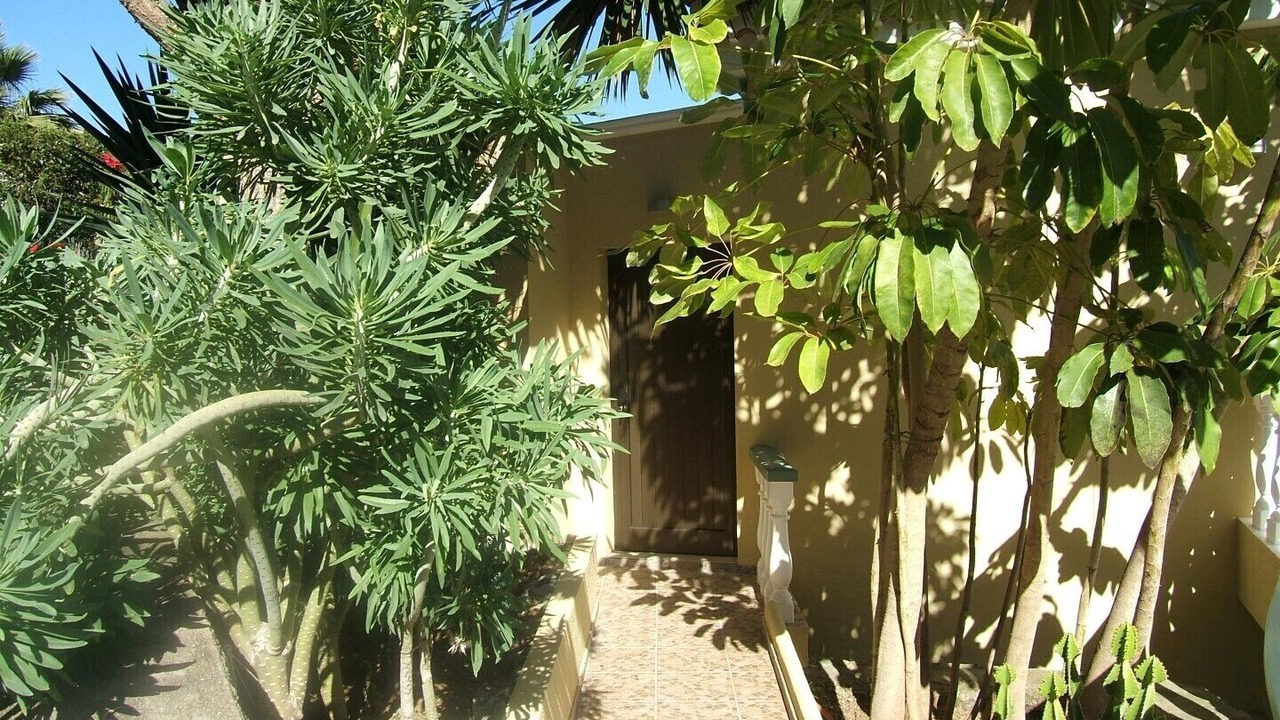 Photo of Outdoor in Puerto de la Cruz
