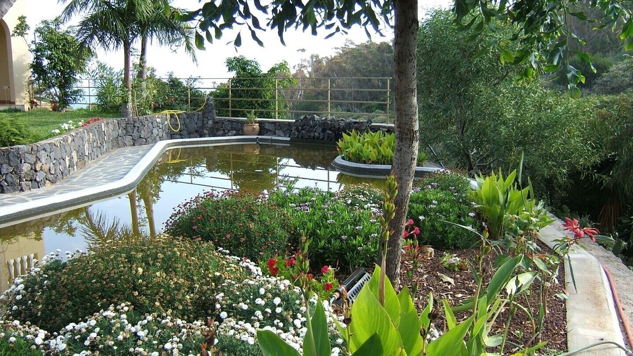 Photo of Outdoor in Puerto de la Cruz