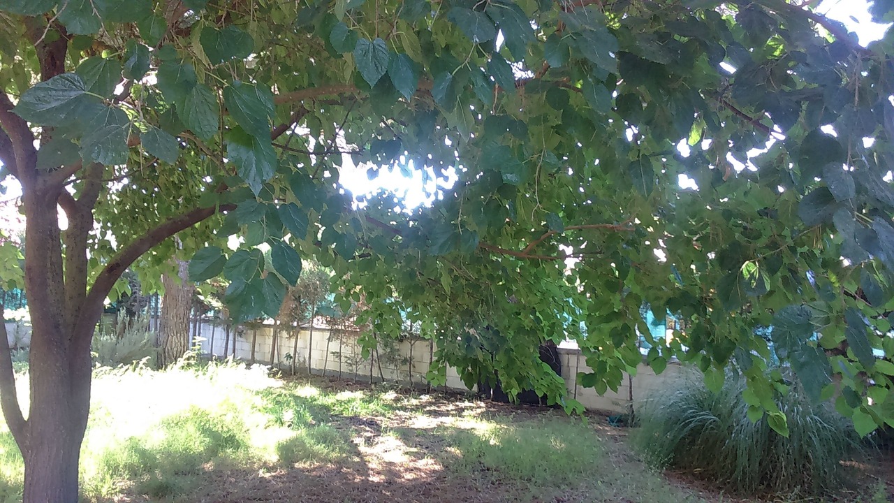 Photo of Outdoor in Traspinedo