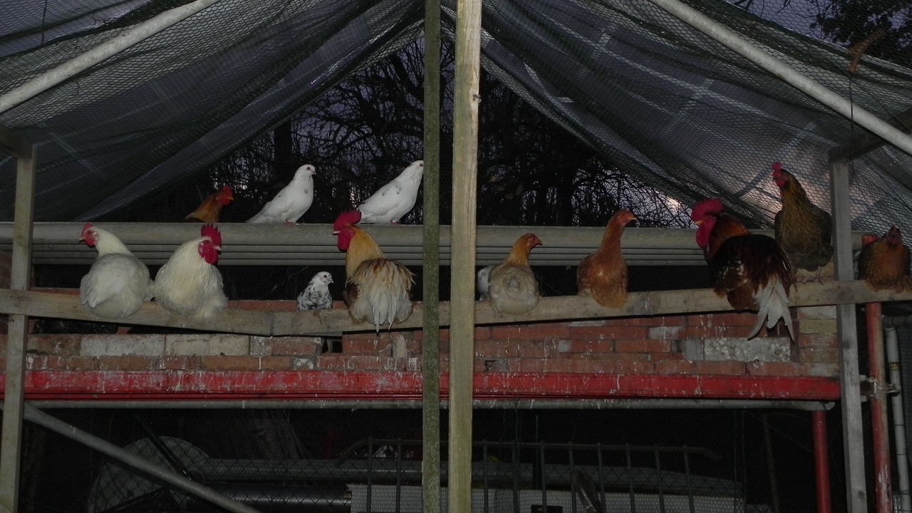 Photo of Others in Quart