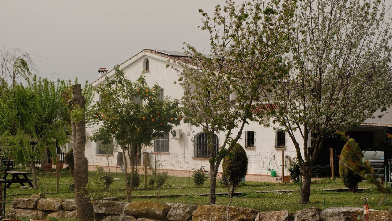 Photo of Outdoor in Quart