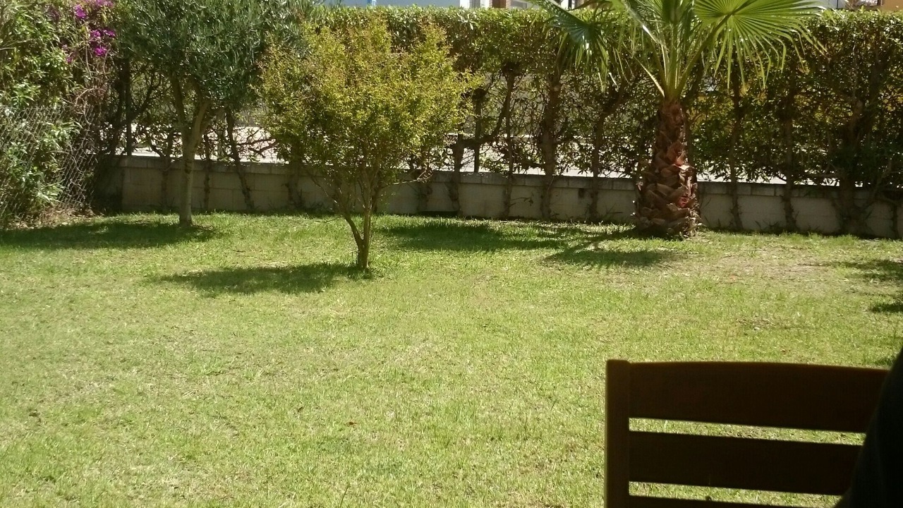 Photo of Outdoor in Vera
