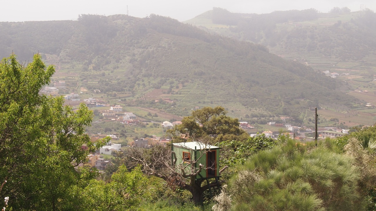 Photo of Outdoor in Tegueste