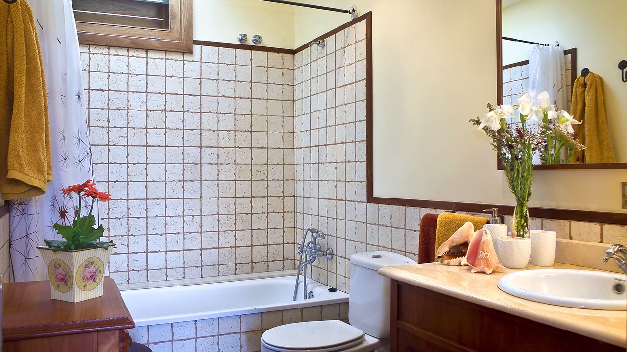 Photo of Bathroom in Tegueste