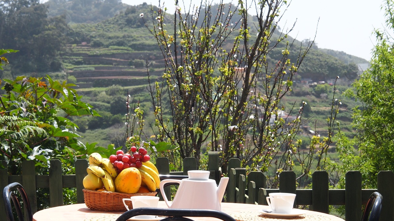 Photo of Outdoor in Tegueste
