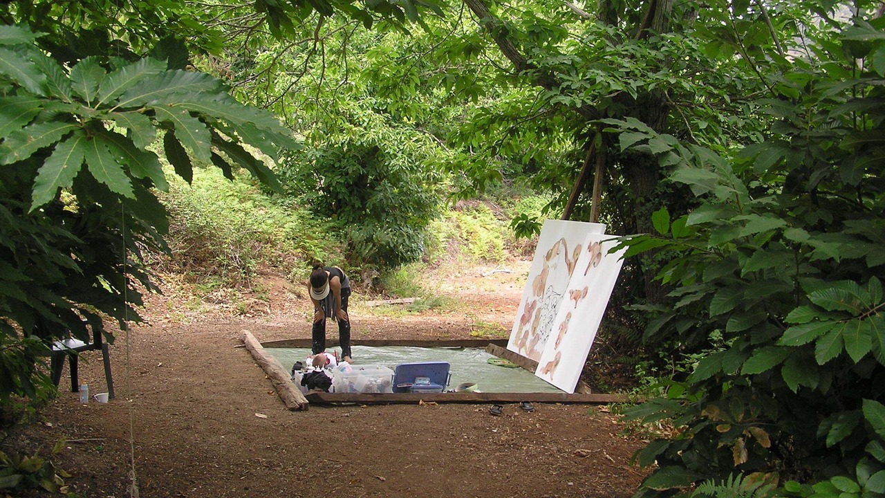 Photo of Outdoor in Tegueste