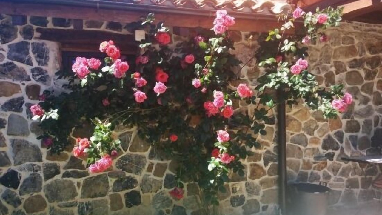 Photo of Outdoor in Vidrieros
