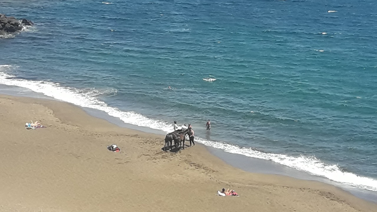 Photo of Others in Ingenio