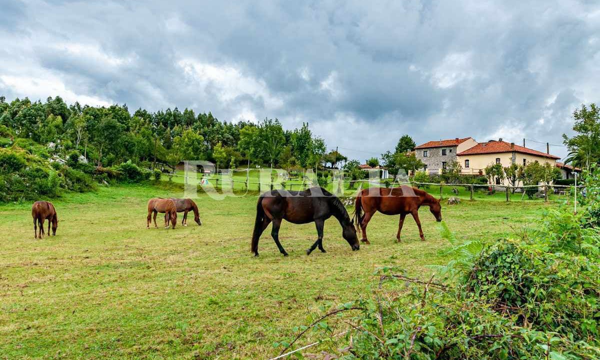 Photo of Outdoor in Ribadesella