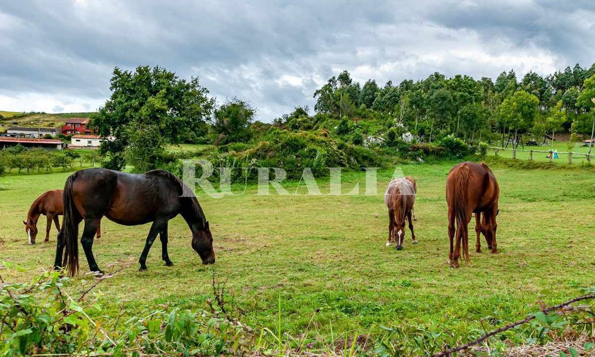 Photo of Others in Ribadesella