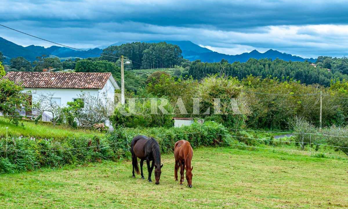 Photo of Outdoor in Ribadesella