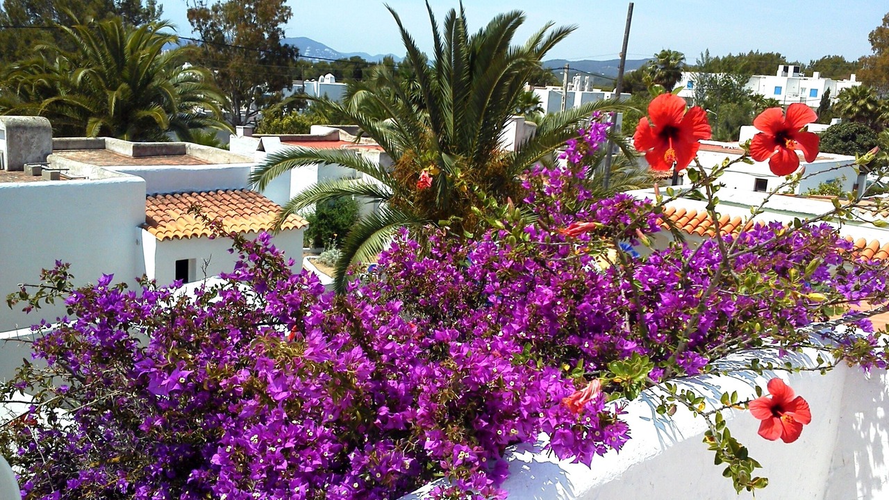 Photo of Outdoor in Cala Llenya