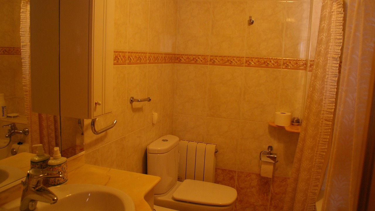 Photo of Bathroom in Oseja de Sajambre