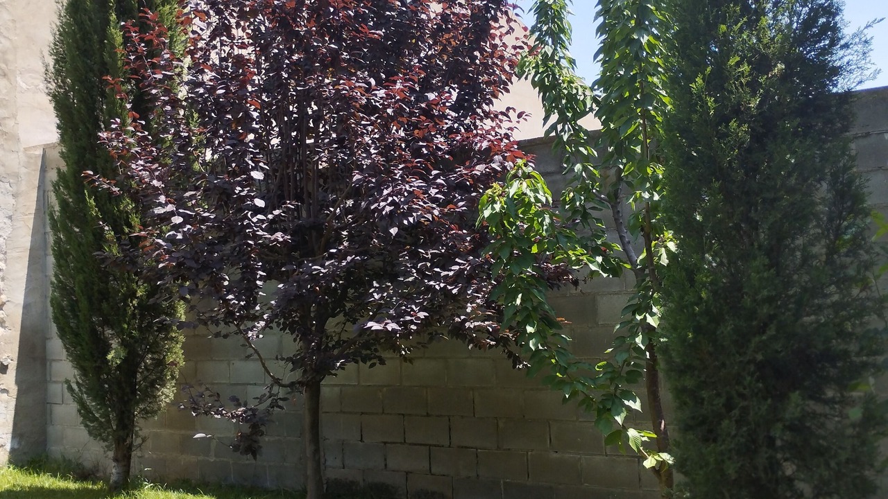 Photo of Outdoor in Villafranca de Ebro