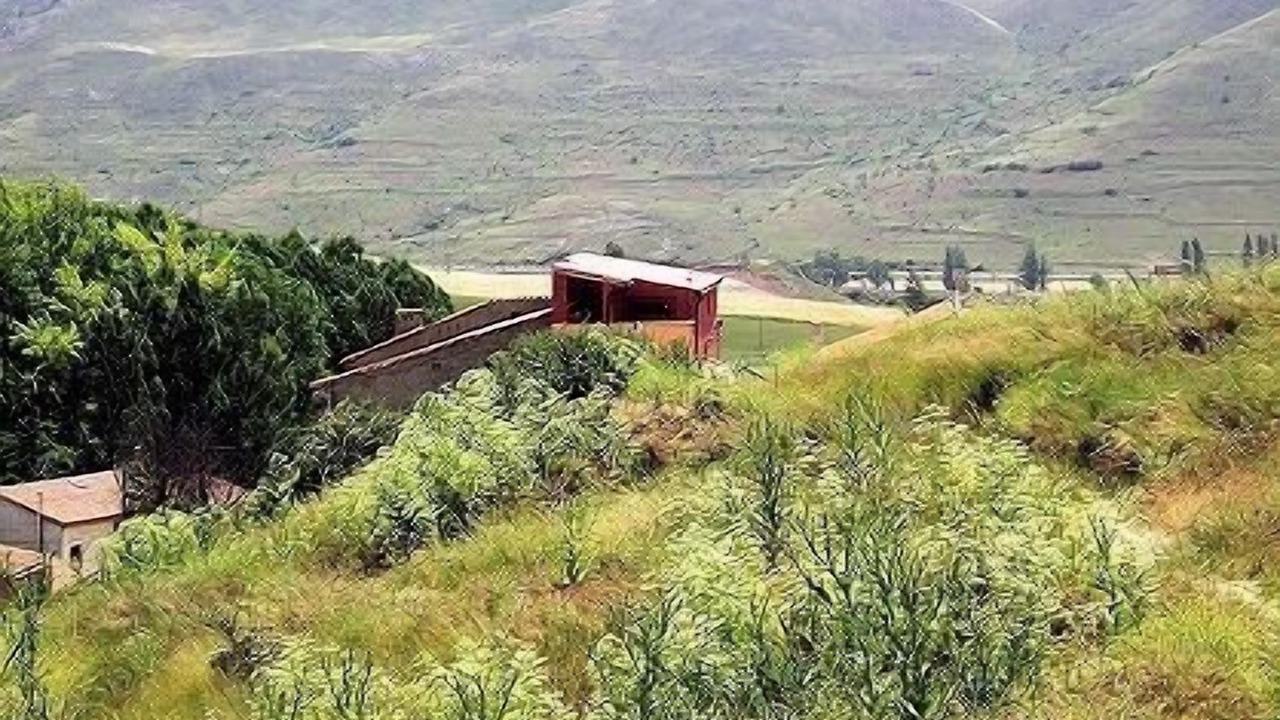 Photo of Outdoor in Medinaceli