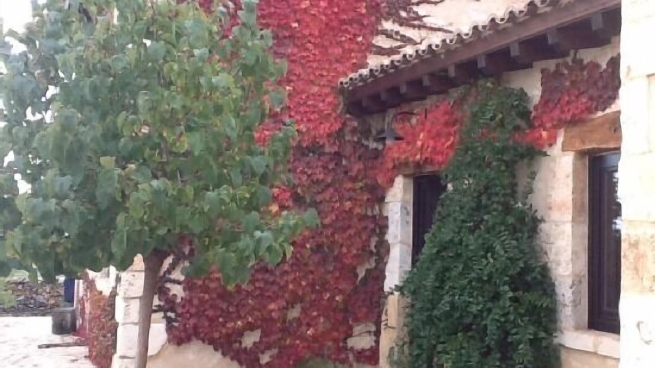 Photo of Outdoor in Briongos