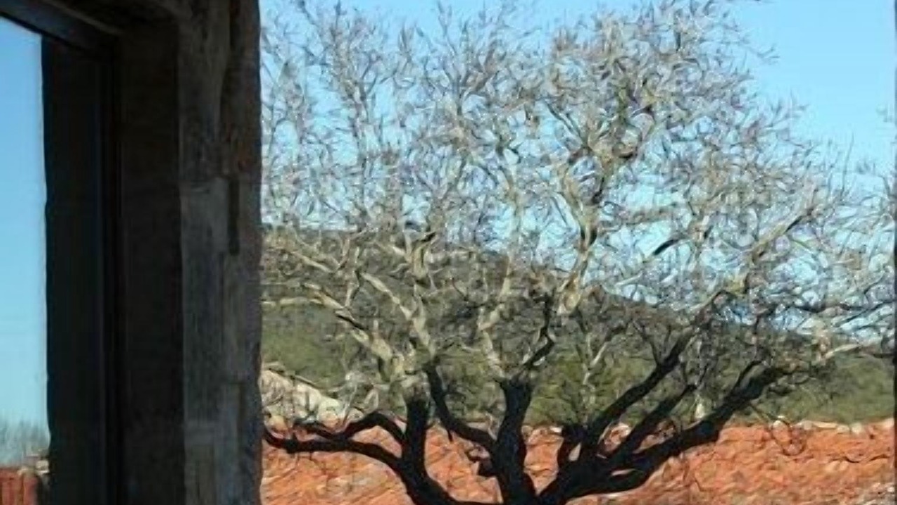 Photo of Others in Briongos