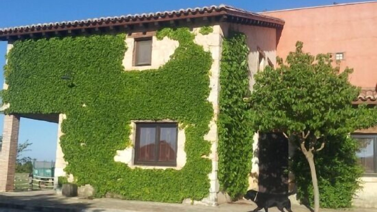 Photo of Outdoor in Briongos
