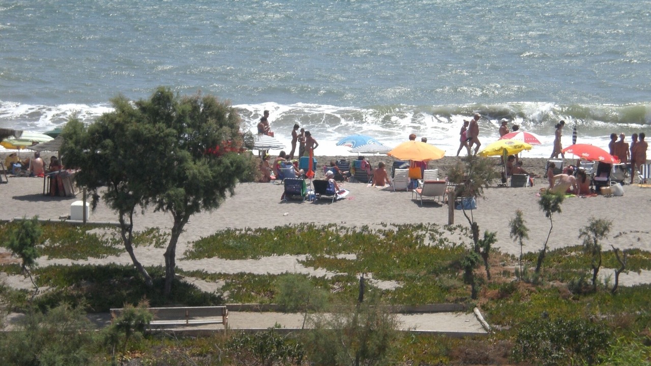 Photo of Others in Vera Beach