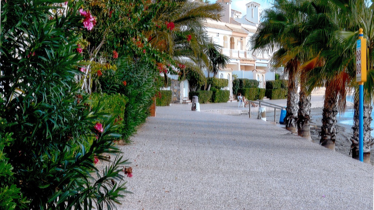 Photo of Outdoor in San Javier
