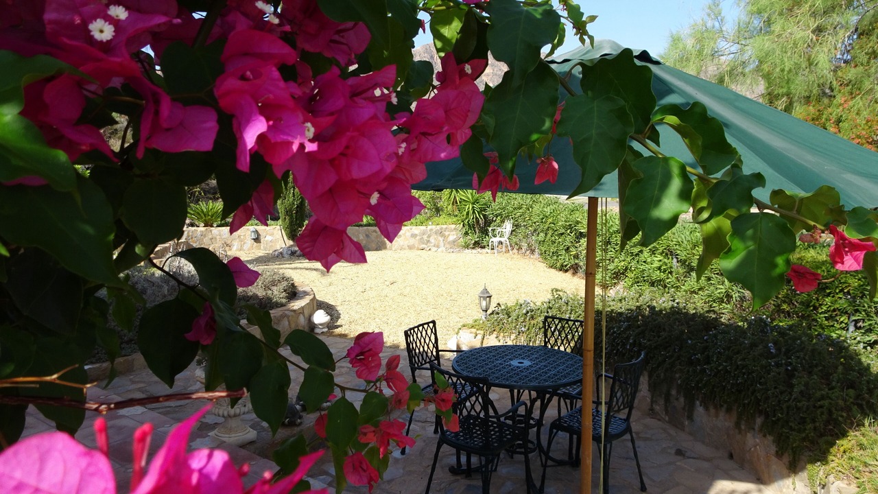 Photo of Outdoor in San Juan de los Terreros