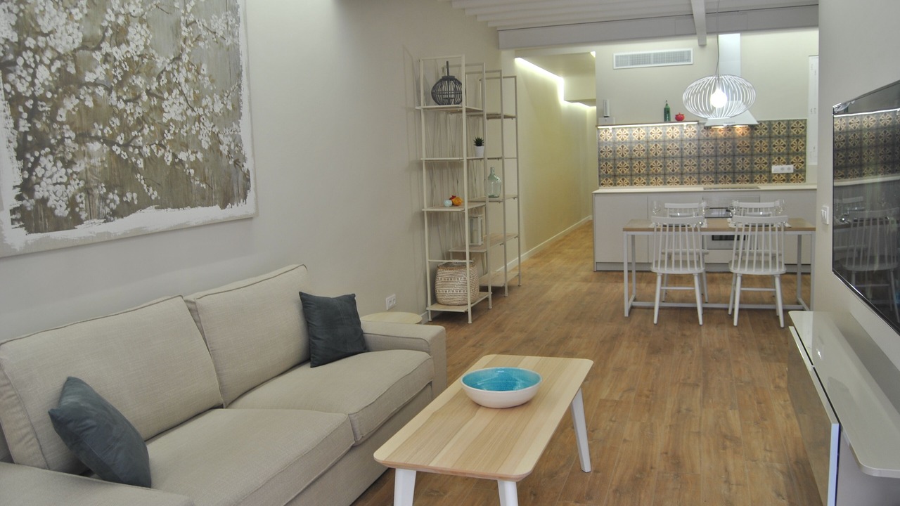 Photo of Livingroom in Placa dels Patins