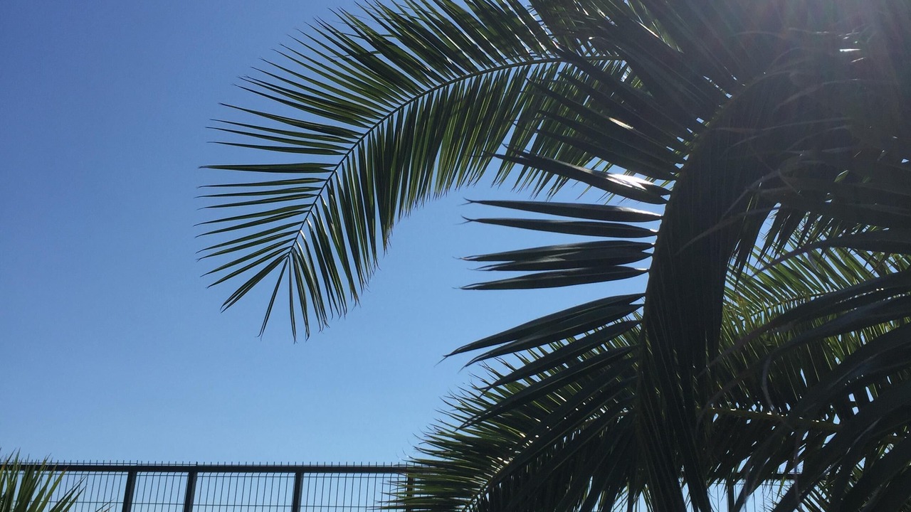 Photo of Outdoor in Orihuela Costa
