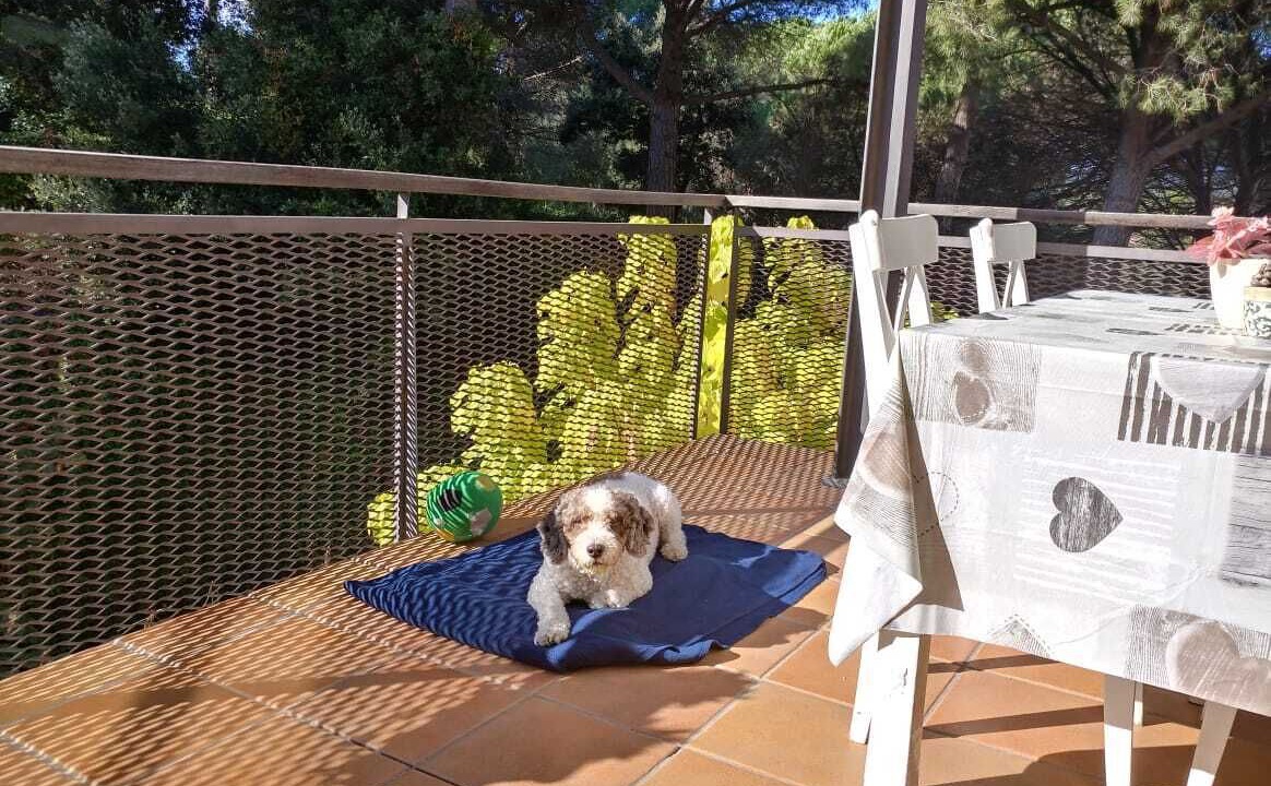 Photo of Others in Lloret de Mar