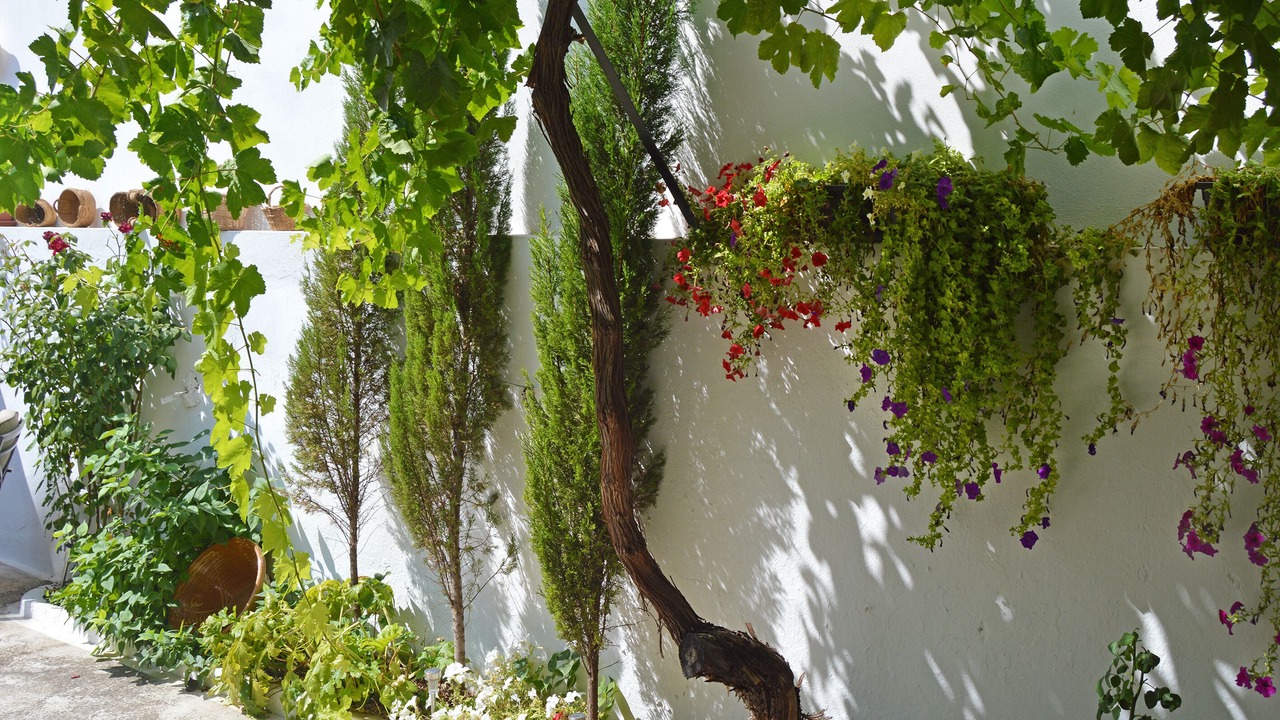 Photo of Outdoor in La Puerta de Segura