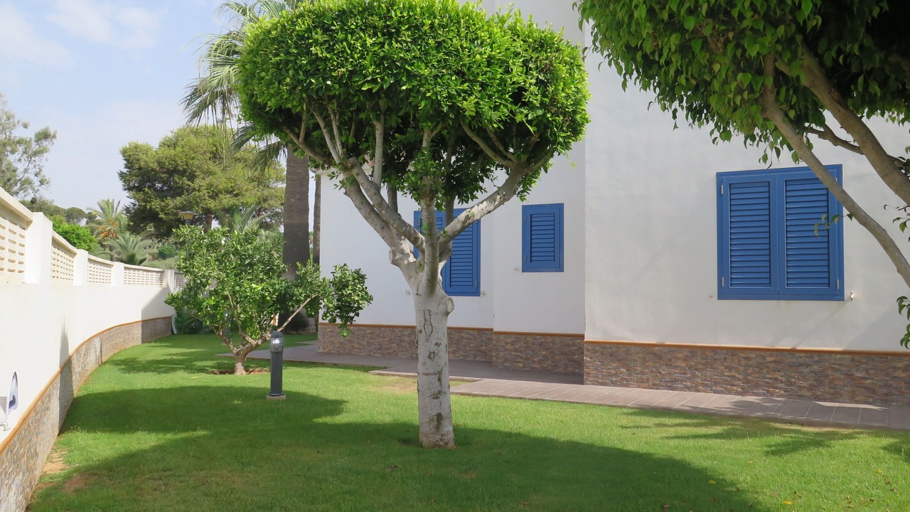 Photo of Outdoor in Puerto Rey