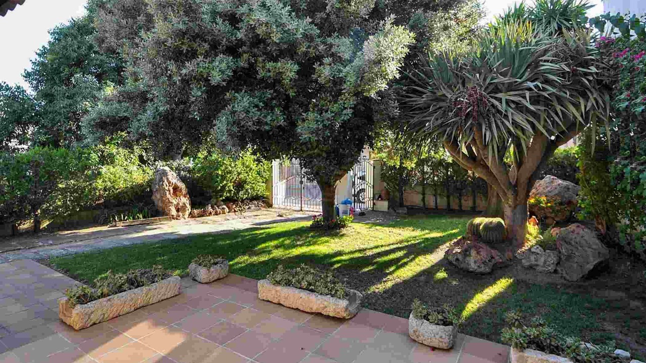 Photo of Outdoor in Inca