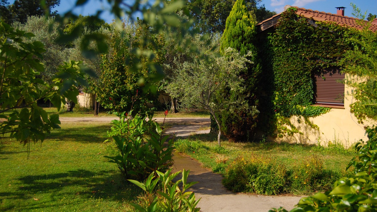 Photo of Outdoor in Hervas