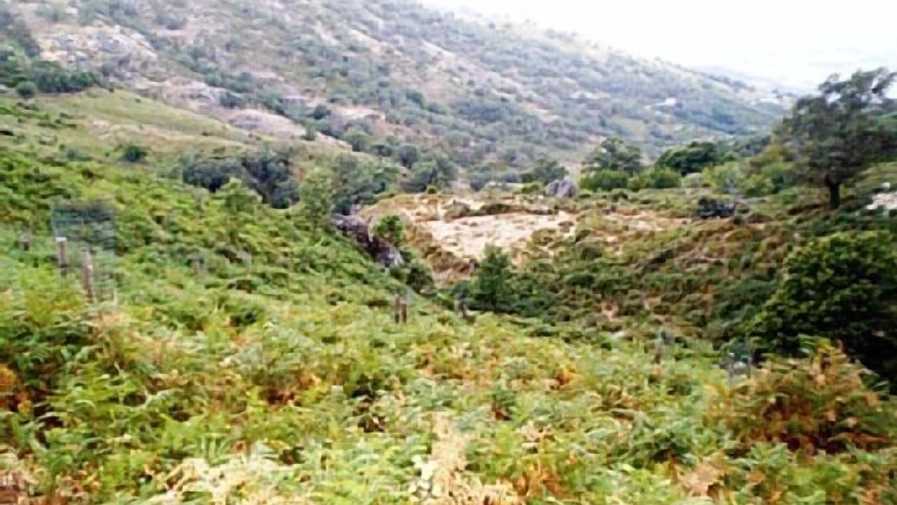 Photo of Outdoor in Casas del Monte