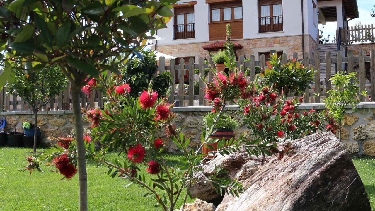 Photo of Outdoor in San Martin de Bada