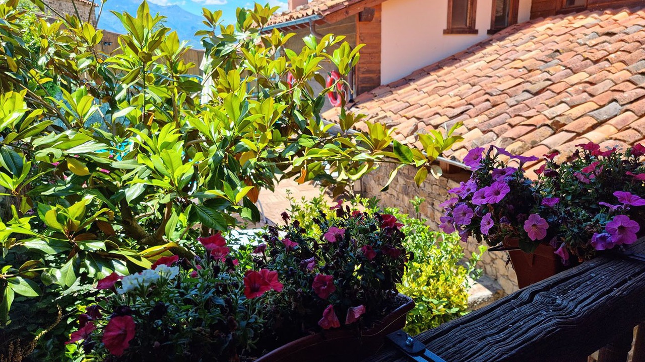 Photo of Outdoor in Tudes