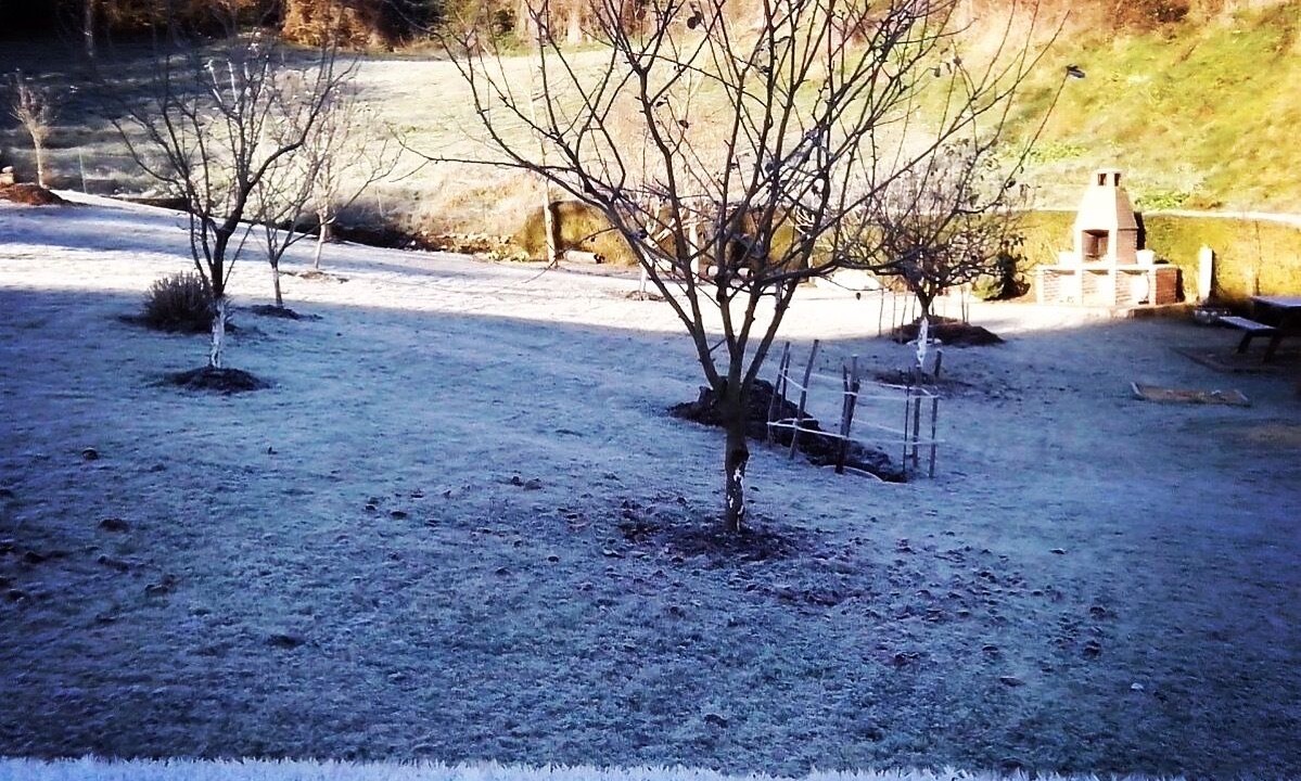Photo of Outdoor in El Barcenal
